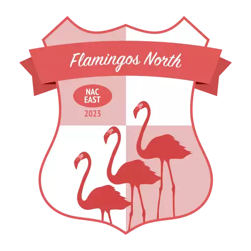 Flamingos