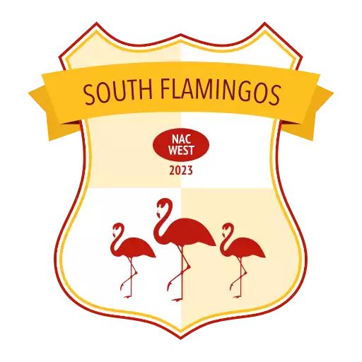 Flamingos